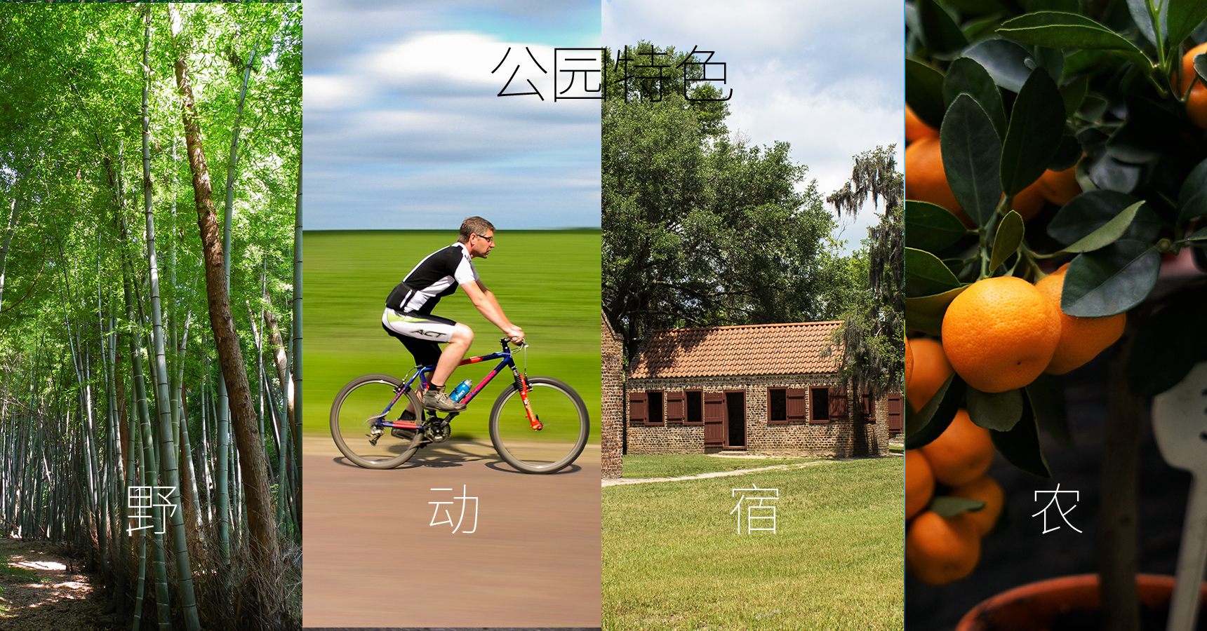 長(zhǎng)興島郊野公園_畫板 1 副本 23.jpg